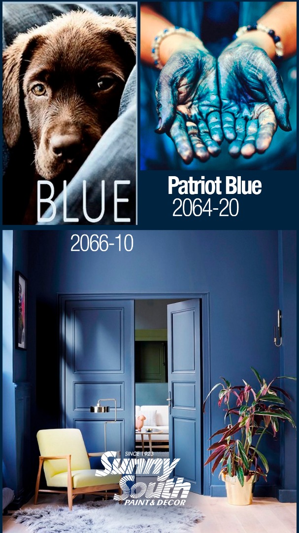 2064-20 Patriot Blue - Paint Color